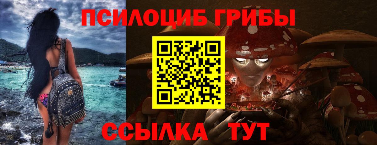 Псилоцибиновые грибы GOLDEN TEACHER Биробиджан