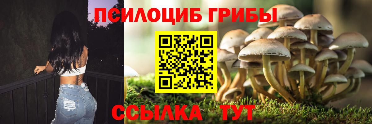 Биробиджан  Галлюциногенные грибы MAGIC MUSHROOMS  Вход с VPN  Псилоцибиновые грибы MAGIC MUSHROOMS 